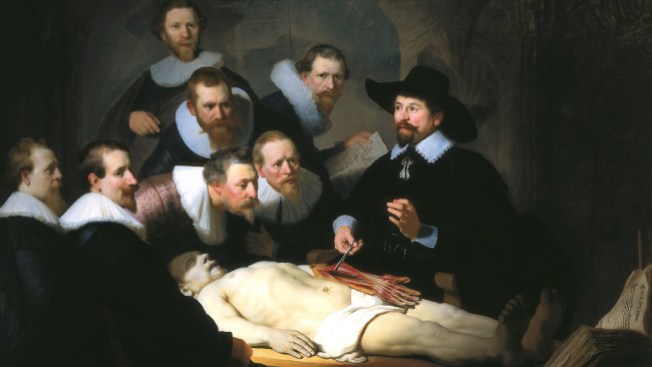 The Anatomy Lesson of Nicolaes Tulp